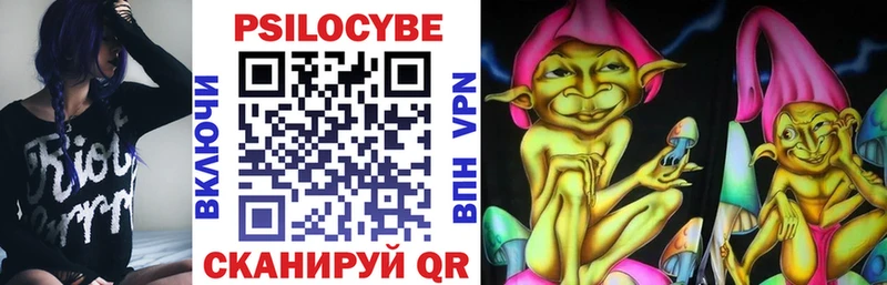 цены   Хадыженск  mega зеркало  Псилоцибиновые грибы Psilocybe 